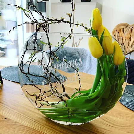 Wellness Ferienhaus Bergheide *